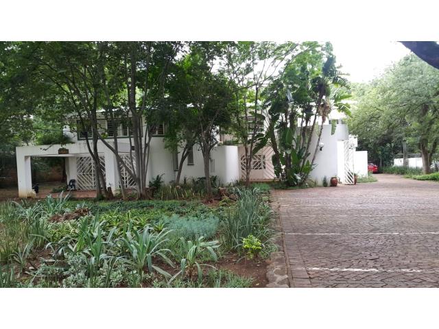 Studio apartment to let in Brooklyn