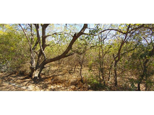 Land for sale in Amandasig