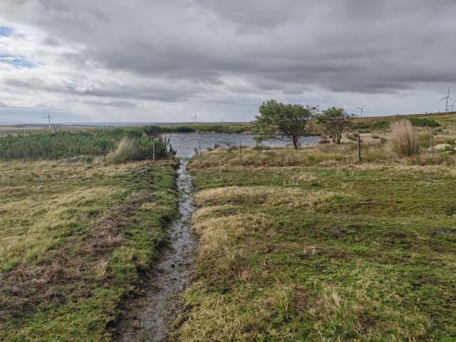 331.19  m² Farm Land for sale in Oyster Bay