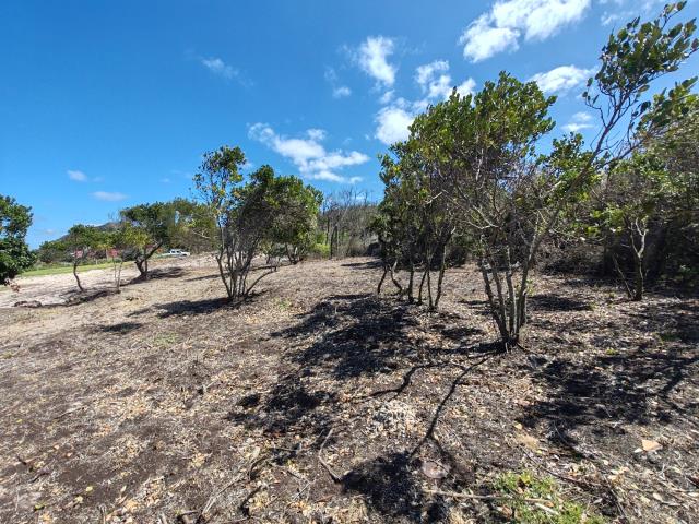 Land for sale in Oyster Bay