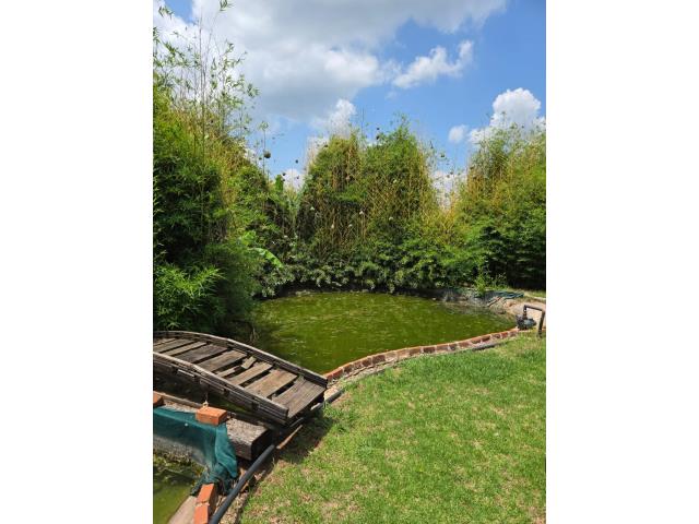 3 Bedroom House for sale in Stoffberg