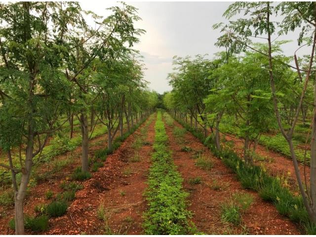 412  ha  for sale in Blouberg