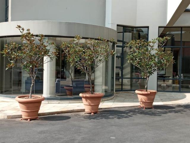 2 Bedroom Apartment to let in Sandown