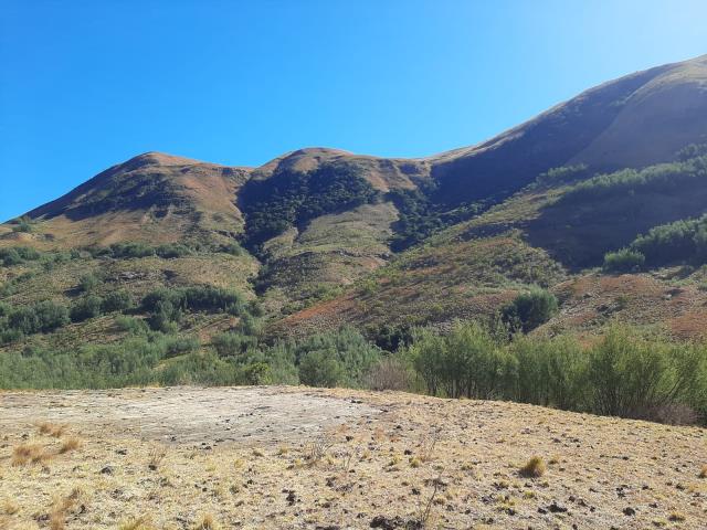 1200  ha Commercial Farm for sale in Elliot Rural