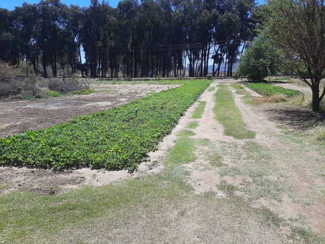 4 Bedroom House for sale in Sterkstroom