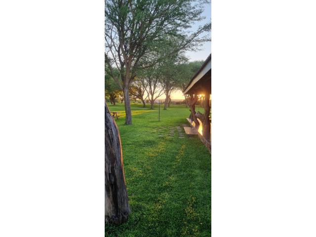  for sale in Capricorn