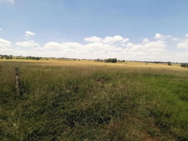 6  ha Agricultural Holding for sale in Ironsyde A H