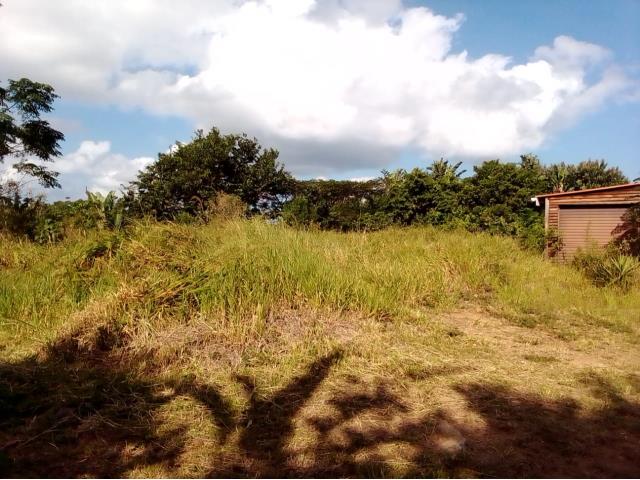 Land for sale in Ramsgate