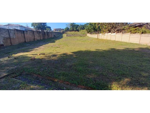 Land for sale in Bluff