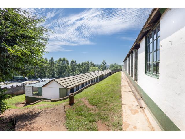 13996  m² Commercial Farm for sale in Assagay