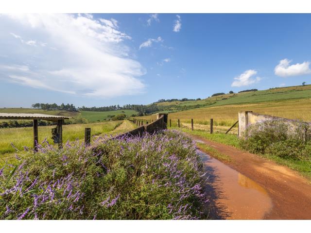 30  ac Agricultural Holding for sale in Harrison