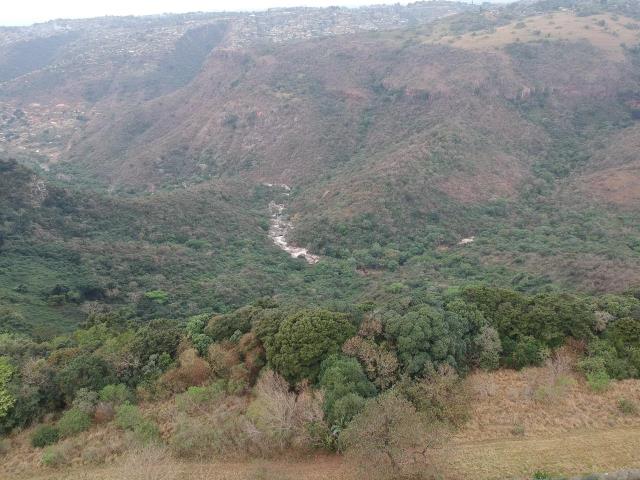 Land for sale in Forest Hills