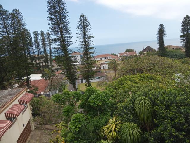 4 Bedroom House for sale in Bluff