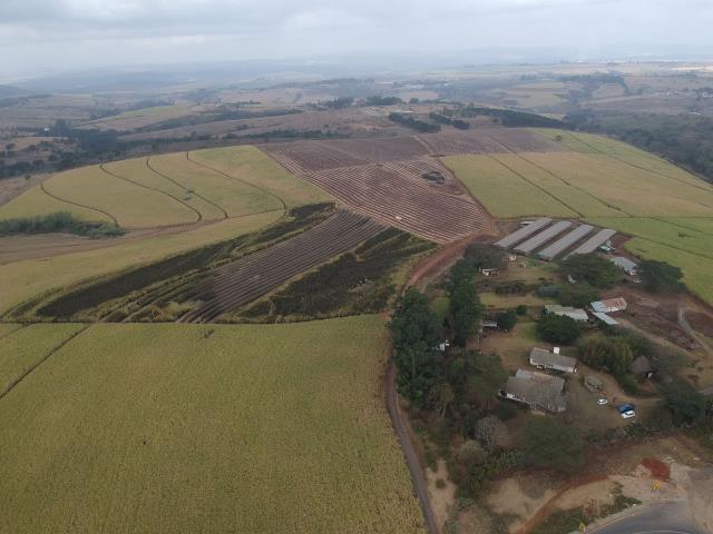 74  ha Commercial Farm for sale in Camperdown