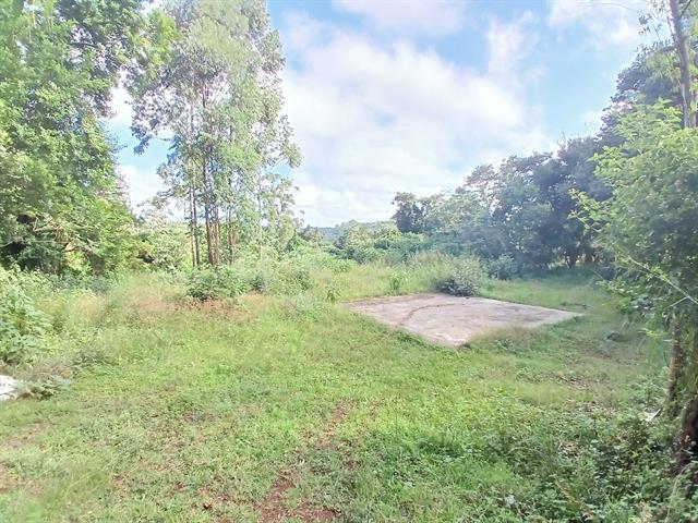 Land for sale in Forest Hills