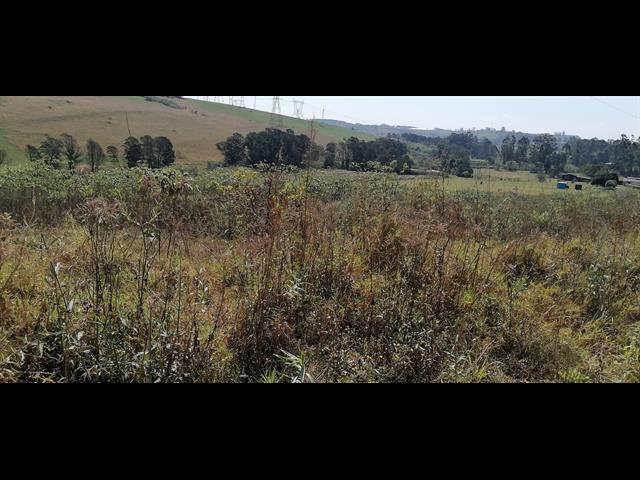 41442  m² Farm Land for sale in Cato Ridge