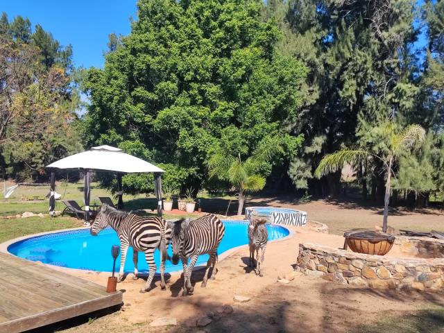 102315  m² Farm with House for sale in Nelspruit Rural