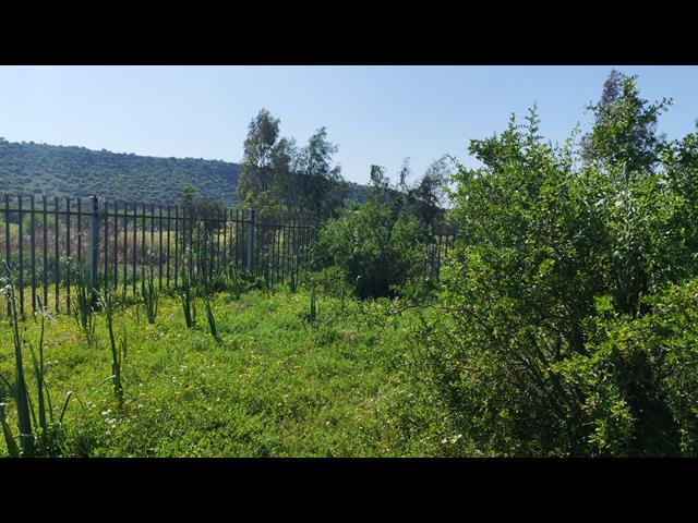 Land for sale in Alicedale