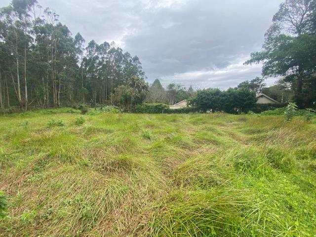 Land for sale in Crestholme