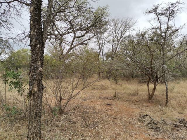 Land for sale in Moditlo Wildlife Estate