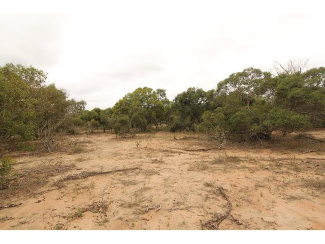 Land for sale in Moditlo Wildlife Estate
