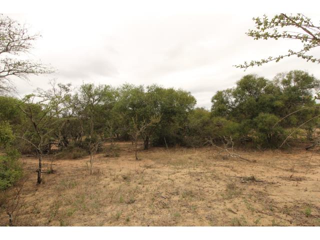 Land for sale in Moditlo Wildlife Estate