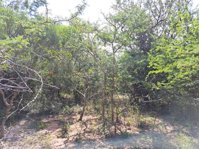 Land for sale in Moditlo Wildlife Estate