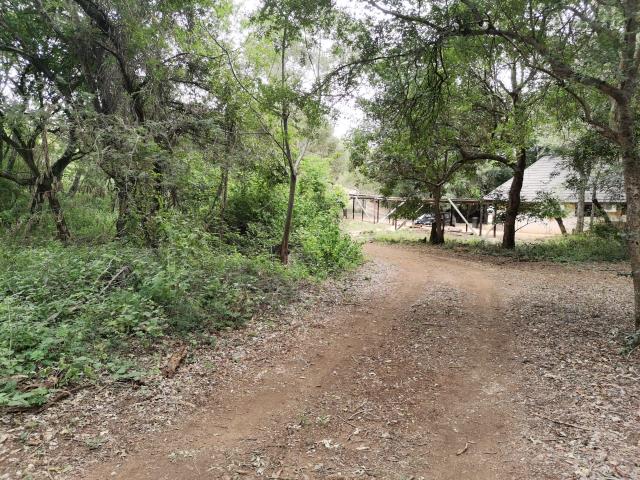 Land for sale in Blyde Wildlife Estate