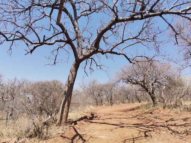 Land for sale in Elephant Rock Eco Estate
