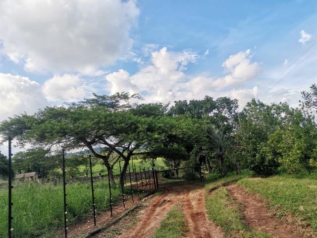 9.5  ha Commercial Farm for sale in Lushof AH
