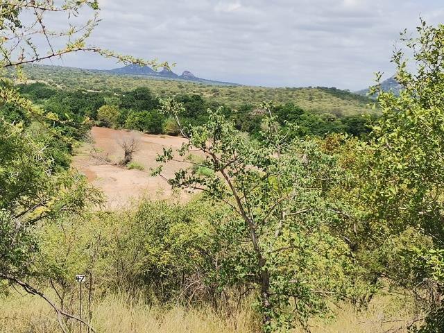 Land for sale in Elephant Rock Eco Estate