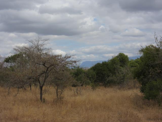 Land for sale in Moditlo Wildlife Estate