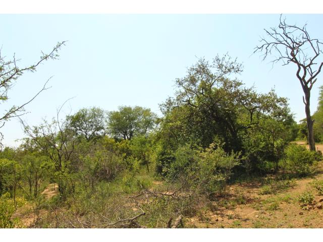 Land for sale in Moditlo Wildlife Estate