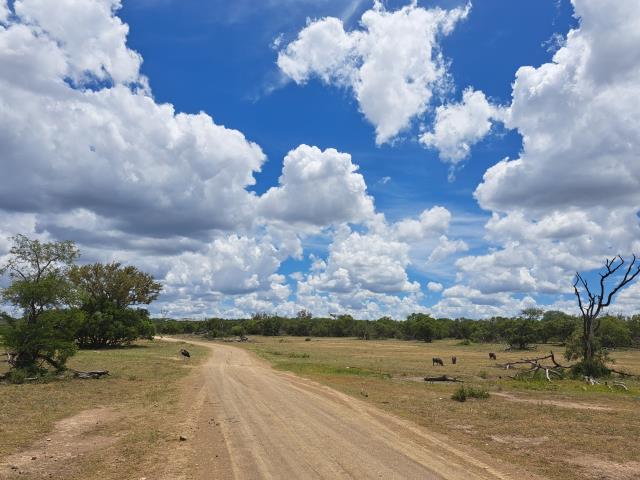 Land for sale in Moditlo Wildlife Estate