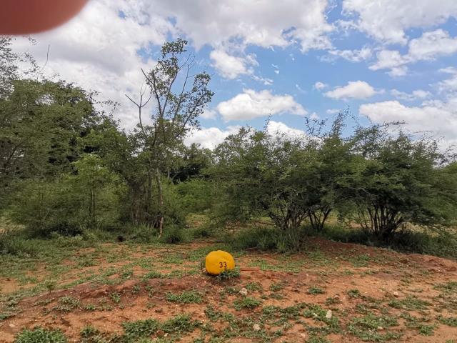 Land for sale in Elephant Rock Eco Estate