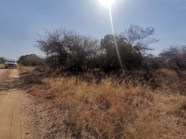 Land for sale in Moditlo Wildlife Estate