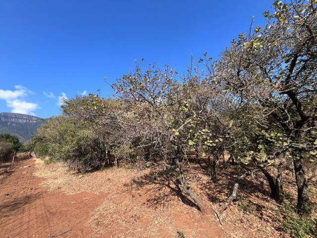Land for sale in Kampersrus