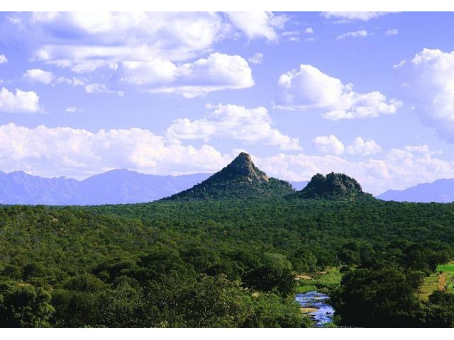 Land for sale in Elephant Rock Eco Estate