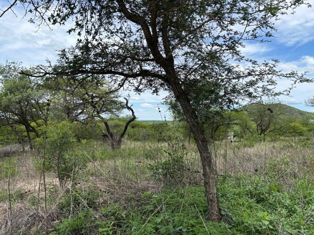 Land for sale in Kampersrus