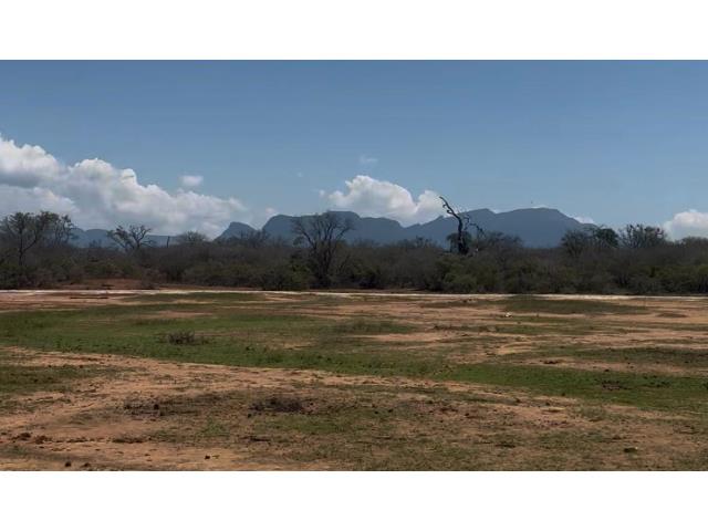 Land for sale in Moditlo Wildlife Estate