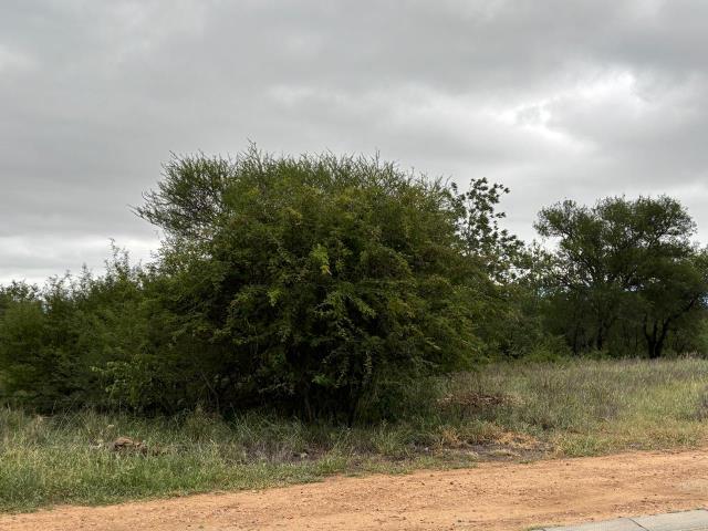 Land for sale in Zandspruit Bush & Aero Estate