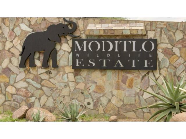 Land for sale in Moditlo Wildlife Estate