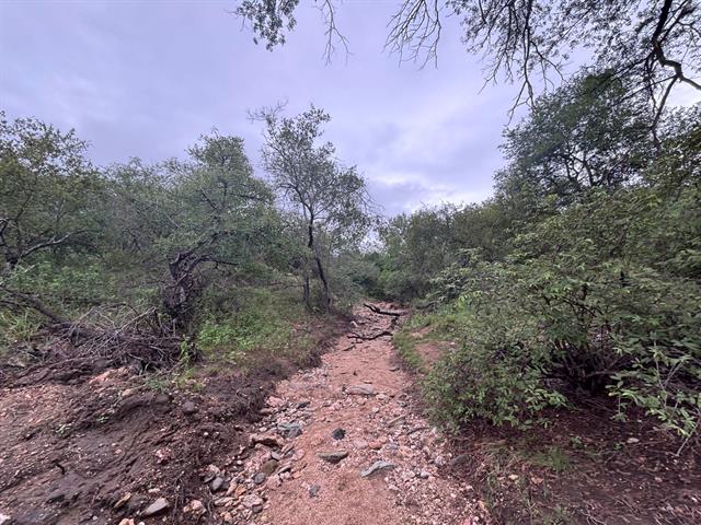 45.41  ha Farm Land for sale in Hoedspruit