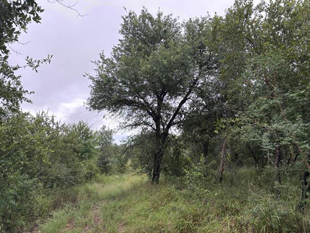 Land for sale in Hoedspruit