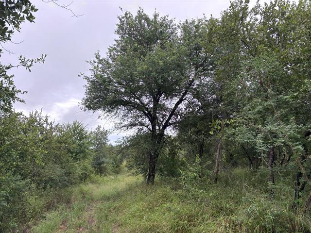 Land for sale in Hoedspruit