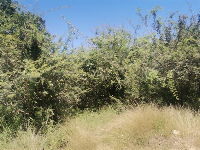 Land for sale in Moditlo Wildlife Estate
