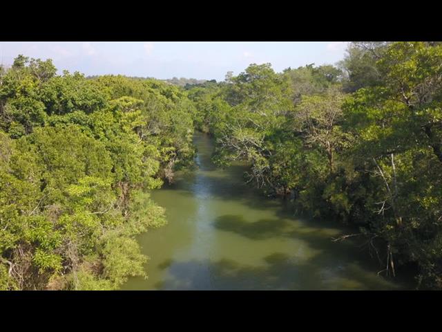 Game Farm for sale in Hoedspruit
