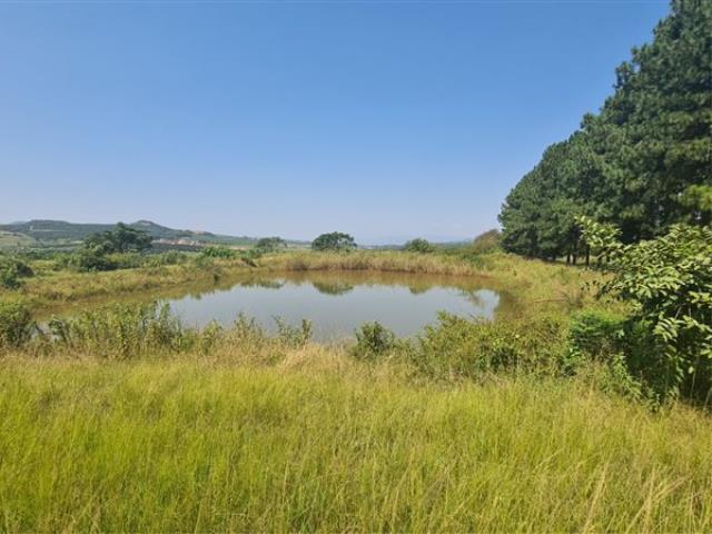 15.89  ha Commercial Farm for sale in White River Rural