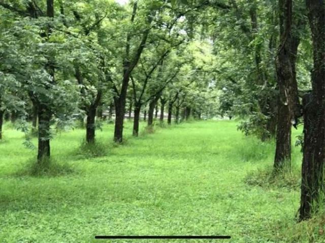 Land for sale in White River Estates