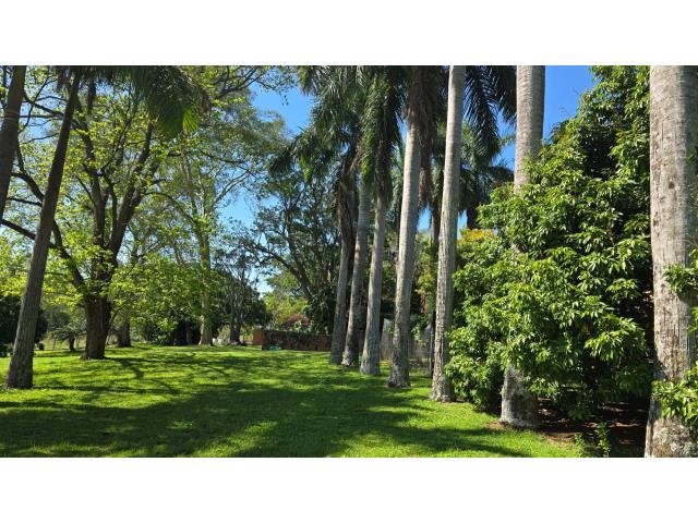 8.18  ha Agricultural Holding for sale in White River AH